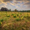 222_dsc3821.tif_final.tif_web