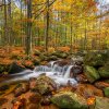 19_dsc8141_final.tif_web