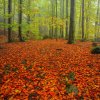 24_final.tif_web