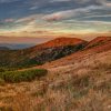 167_d75_5812_panorama.tif_final.tif_web