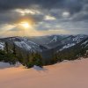 216_final_tif_web