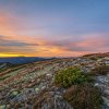 254_dsc6784.tif_final.tif_web