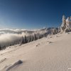 45_d75_7775.tif_final_web