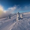 47_d75_7792.tif_final_web
