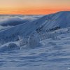 56_d75_8308.tif_final_web