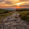 84_d75_2268.tif_final_web