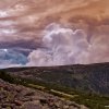 129_dsc4830_ped_boukou_web