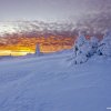 109_cekani_na_slunce_web
