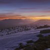 20_dsc_4384_ps_zlate_navrsi_web