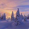 15_dsc_6621_nocni_barvy_3_web
