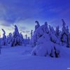 14_dsc_6632_hodina_pred_vychodem_web