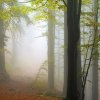 10_v_mlze_web