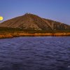 288_7113_final.tif_web