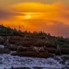 227_dsc9359.tif_final.tif_web