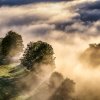 68_dsc6244.tif_final.tif_web