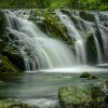 61_d756763.tif_final_tif_web