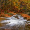 89_dsc8248_panorama_final_1x1.tif_web