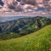 03_d75_0657_pano_final_web