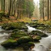_dsc4796_web